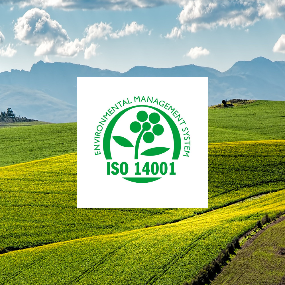 Respect for the Environment